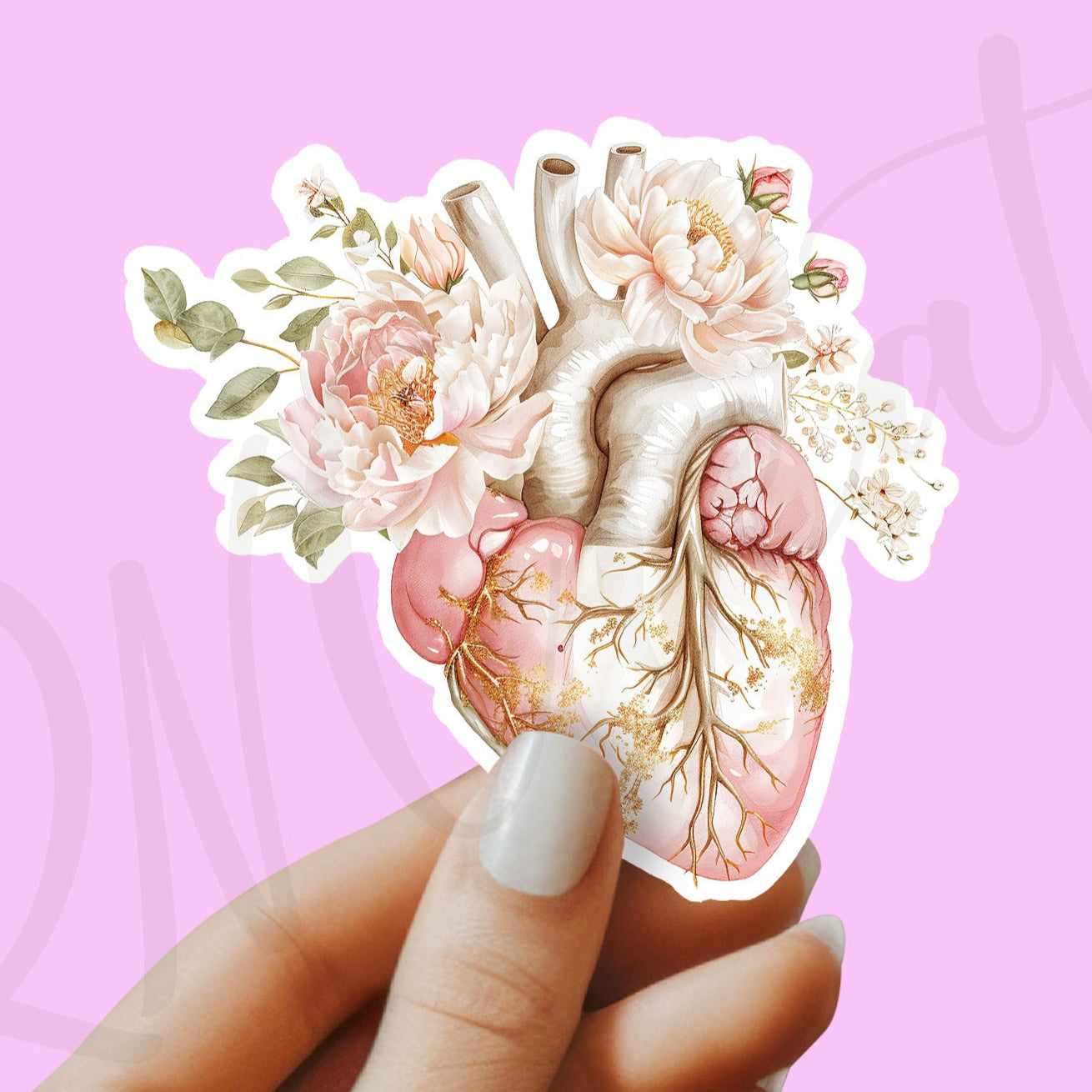 Heart Sticker - Anatomy Sticker - Medical Sticker - Medical Gift - Decorative Sticker - Sticker