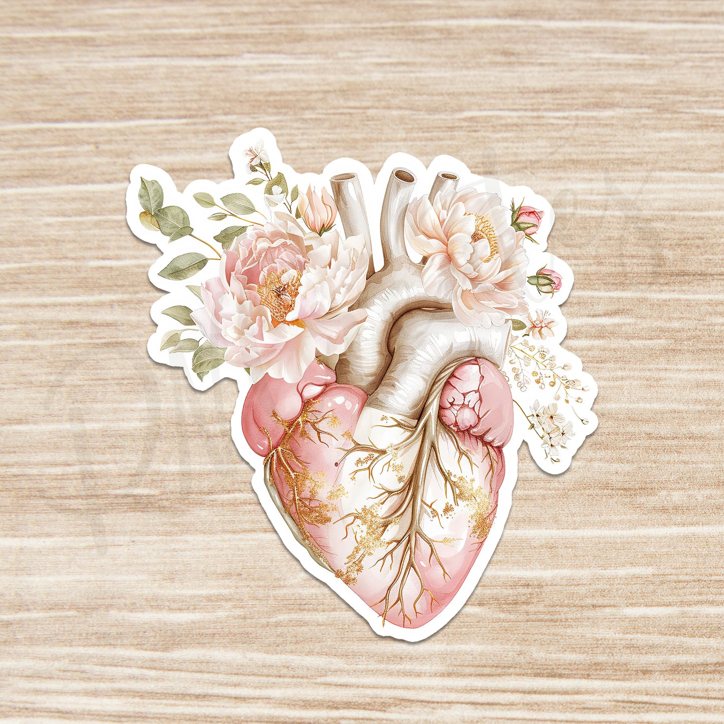 Heart Sticker - Anatomy Sticker - Medical Sticker - Medical Gift - Decorative Sticker - Sticker