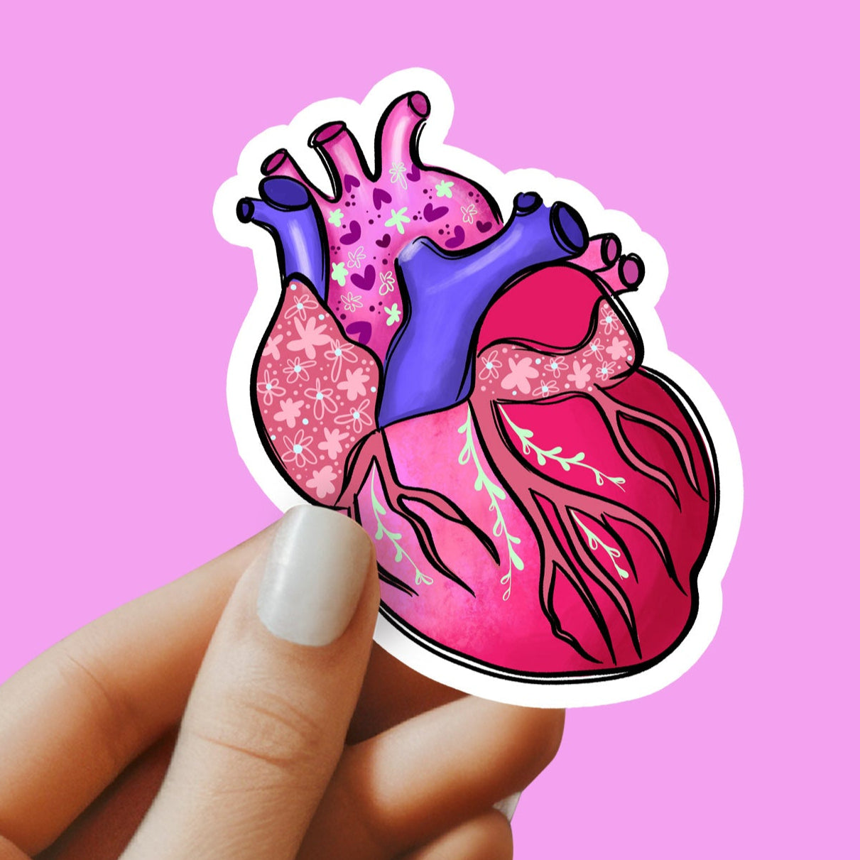 Heart Sticker - Anatomy Sticker - Medical Sticker - Medical Gift - Decorative Sticker - Sticker