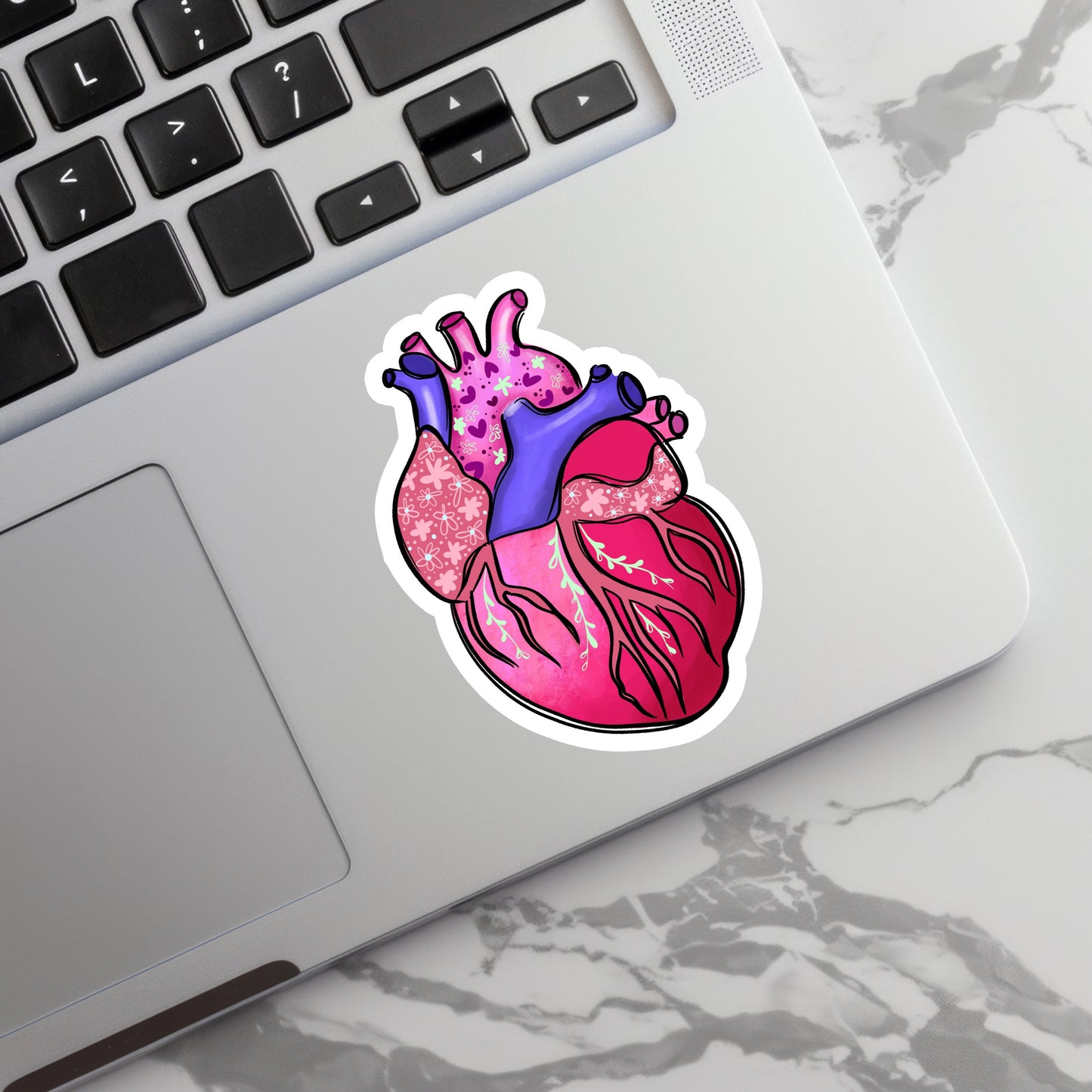 Heart Sticker - Anatomy Sticker - Medical Sticker - Medical Gift - Decorative Sticker - Sticker
