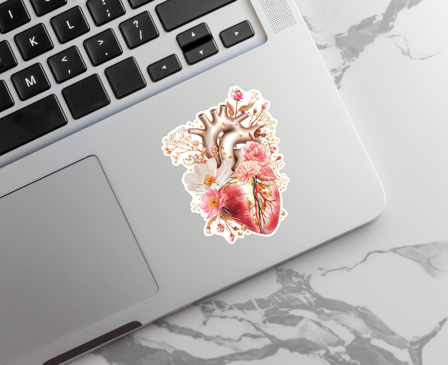 Heart Sticker - Anatomy Sticker - Medical Sticker - Medical Gift - Decorative Sticker - Sticker