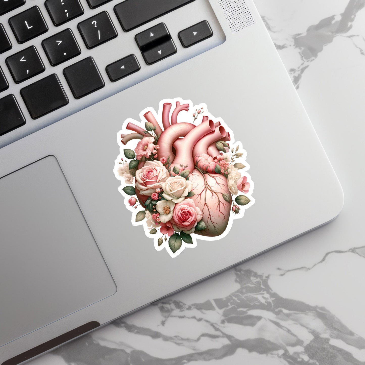 Heart Sticker - Anatomy Sticker - Medical Sticker - Medical Gift - Decorative Sticker - Sticker