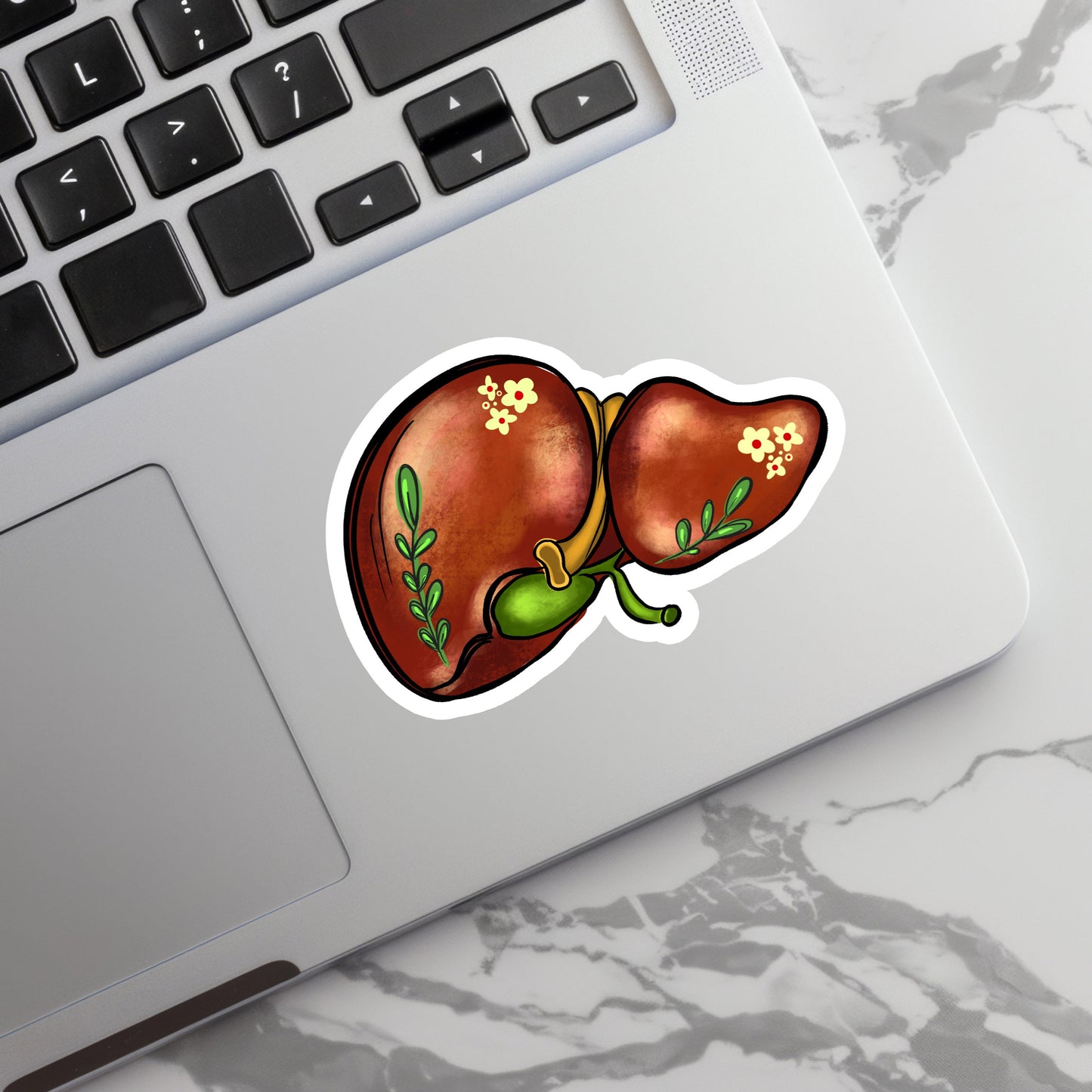 Liver Sticker - Anatomy Sticker - Medical Sticker - Medical Gift - Decorative Sticker - Sticker