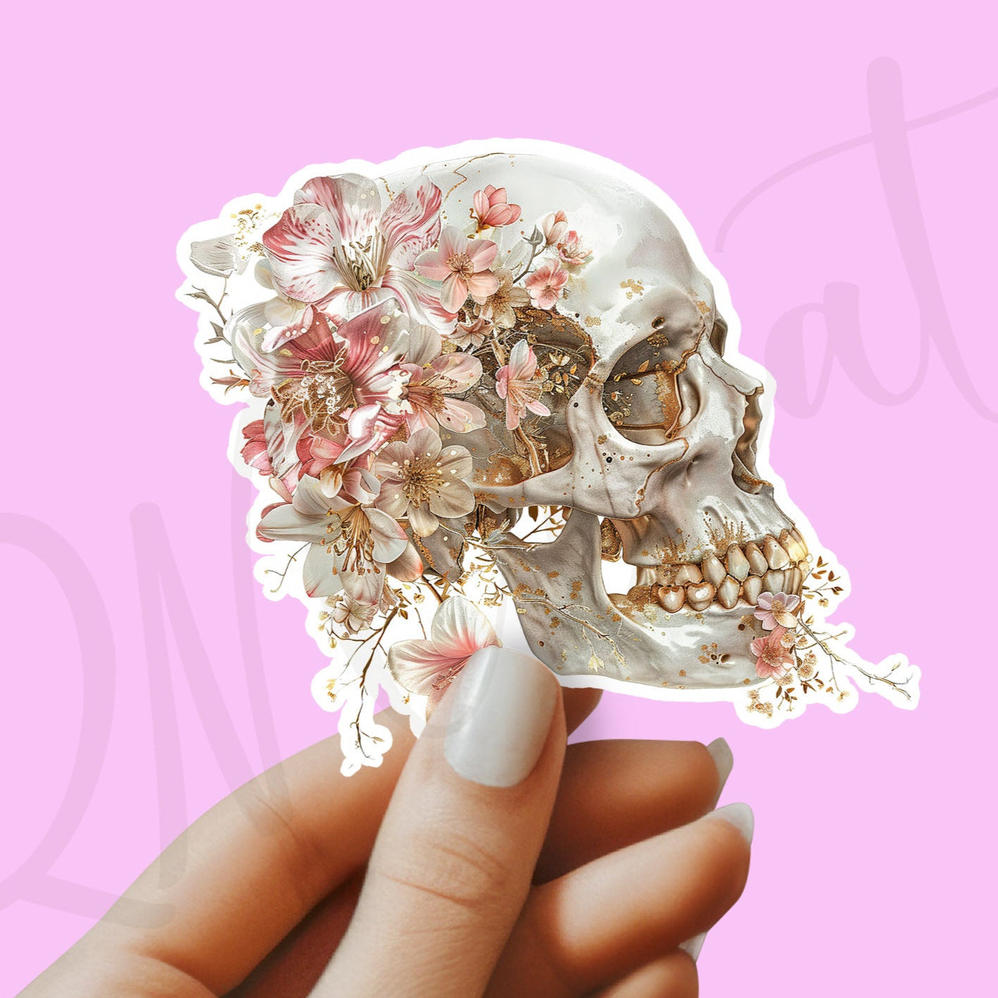 Skull Sticker - Anatomy Sticker - Medical Sticker - Medical Gift - Decorative Sticker - Sticker
