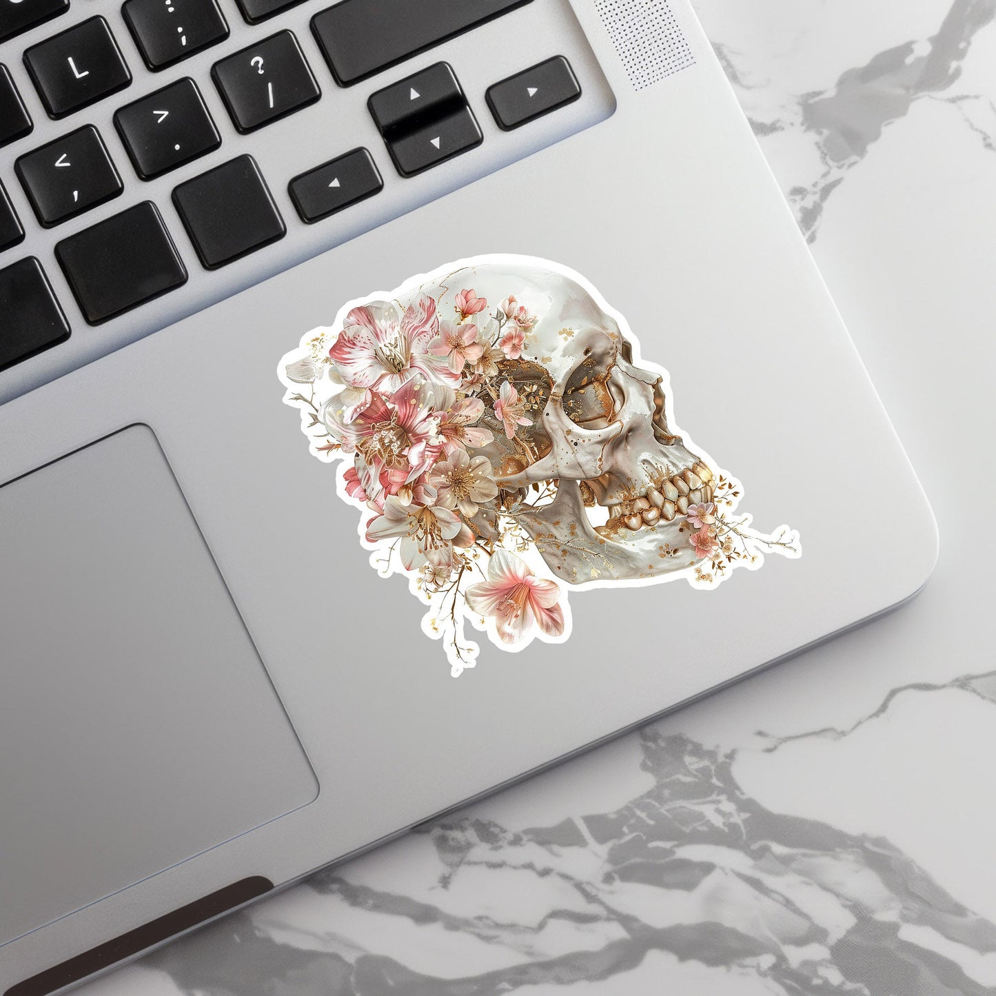 Skull Sticker - Anatomy Sticker - Medical Sticker - Medical Gift - Decorative Sticker - Sticker