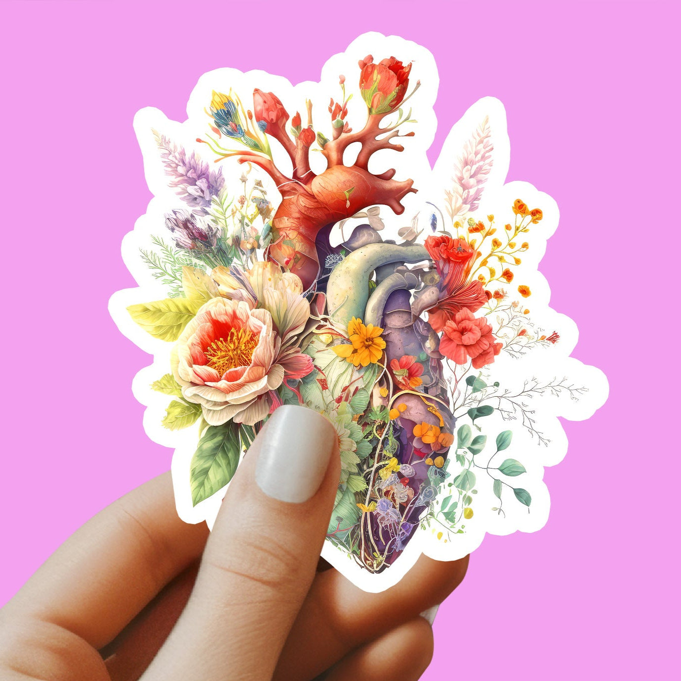 Heart Sticker - Anatomy Sticker -  Medical Sticker - Medical Gift - Decorative Sticker - Sticker