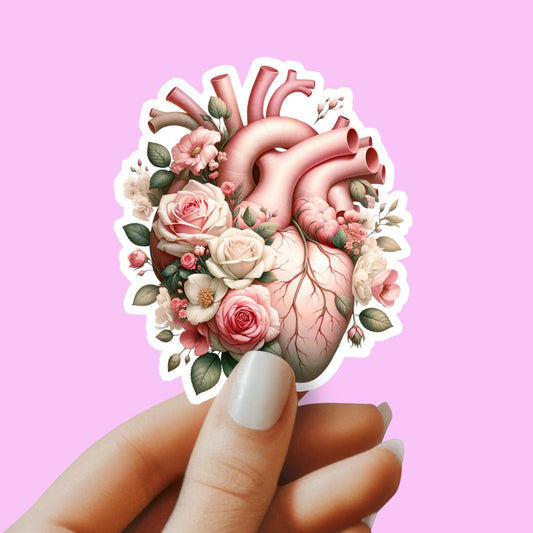 Heart Sticker - Anatomy Sticker -  Medical Sticker - Medical Gift - Decorative Sticker - Sticker