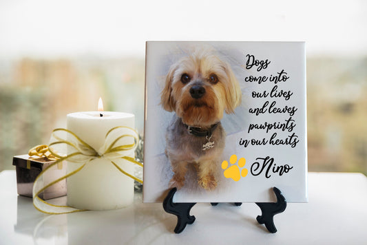 Pet Memorial Tile - Remembrance Tile - Pet Photo Memorial Tile - Sympathy Gift - Bereavement Gift