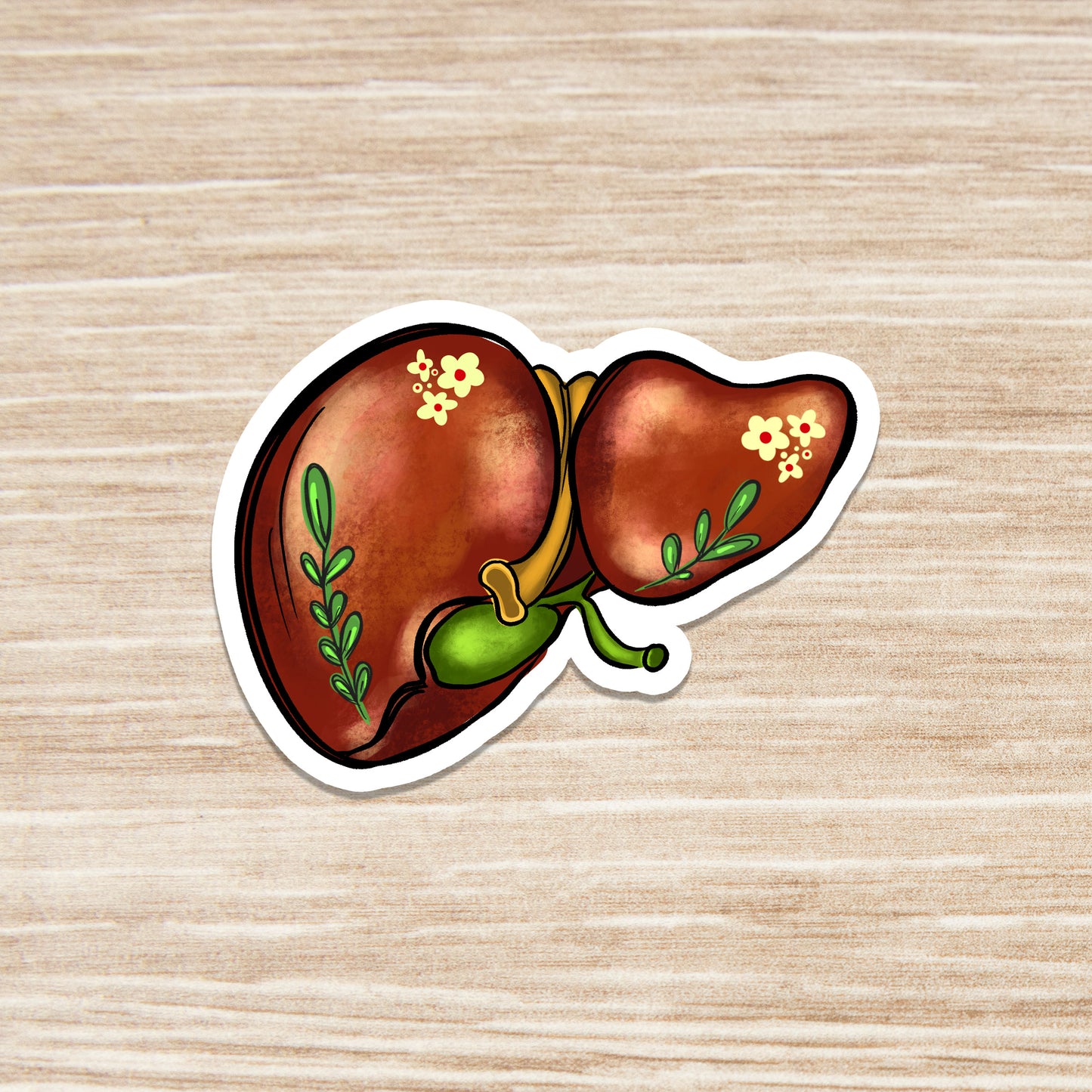 Liver Sticker - Anatomy Sticker -  Medical Sticker - Medical Gift - Decorative Sticker - Sticker