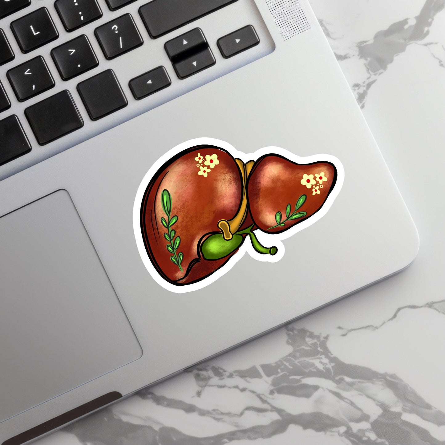 Liver Sticker - Anatomy Sticker -  Medical Sticker - Medical Gift - Decorative Sticker - Sticker