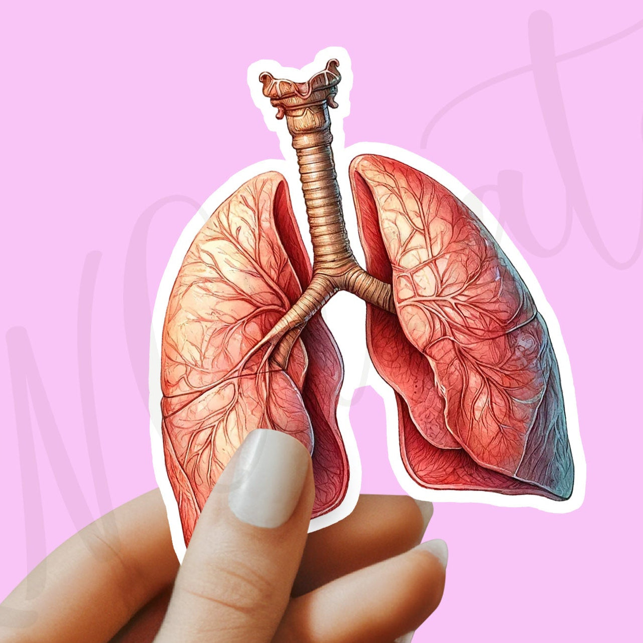 Lungs Sticker - Lungs with Flower Sticker - Anatomy Sticker -  Medical Sticker - Medical Gift - Decorative Sticker - Sticker