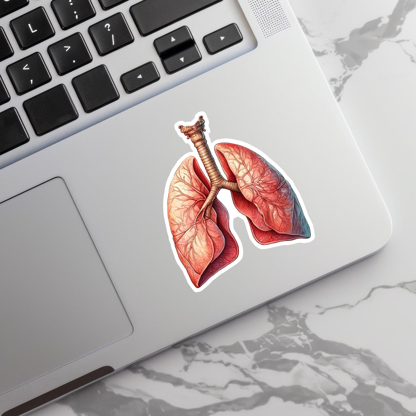 Lungs Sticker - Lungs with Flower Sticker - Anatomy Sticker -  Medical Sticker - Medical Gift - Decorative Sticker - Sticker