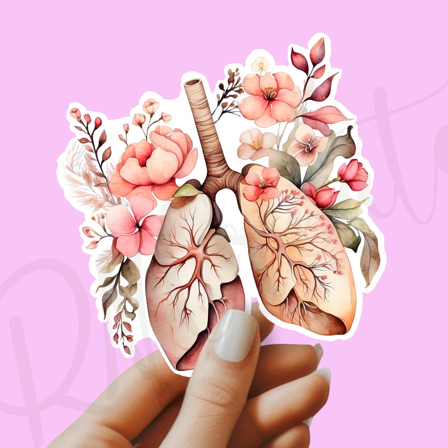 Lungs Sticker - Lungs with Flower Sticker - Anatomy Sticker -  Medical Sticker - Medical Gift - Decorative Sticker - Sticker