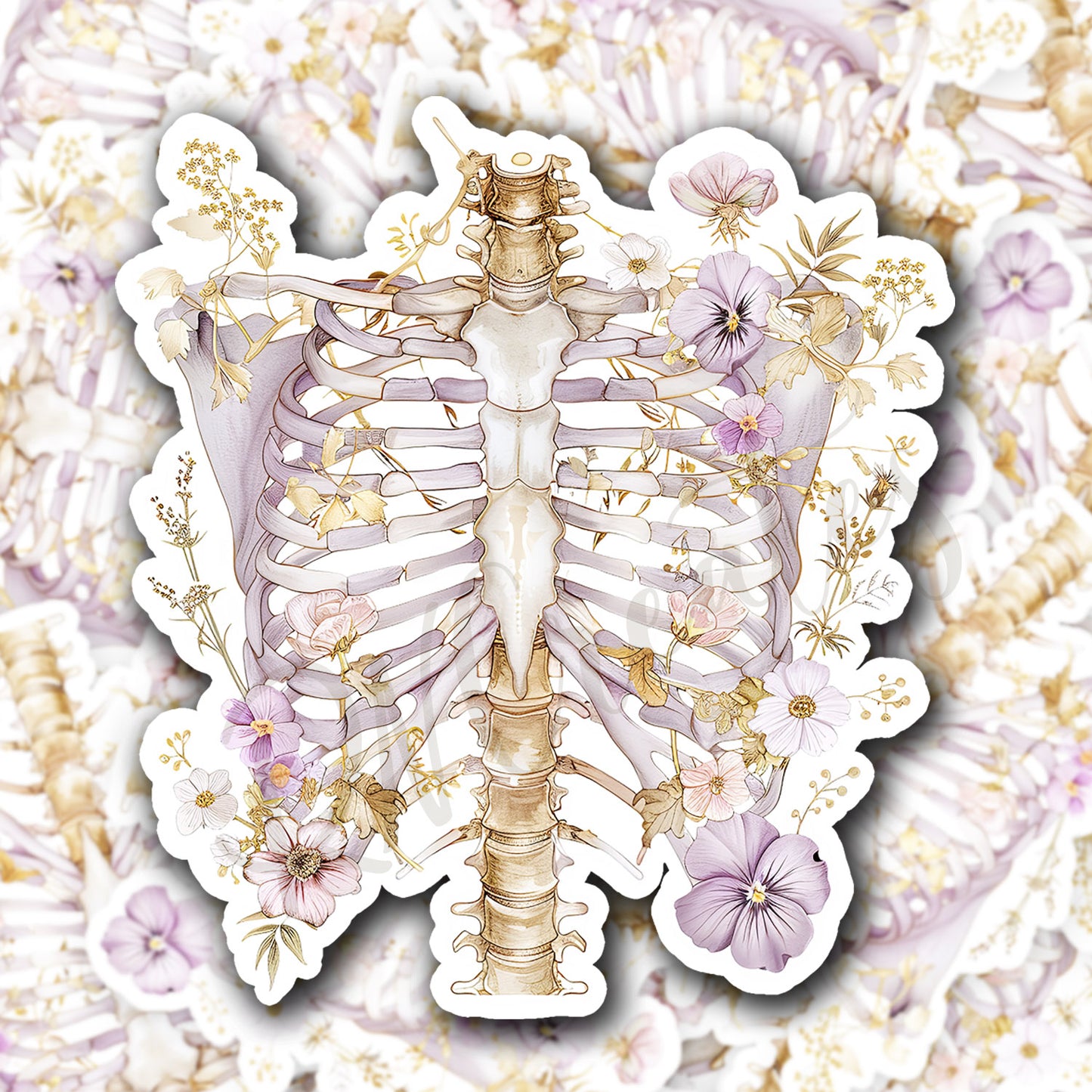 Ribs Sticker - Ribs with Flower Sticker - Anatomy Sticker -  Medical Sticker - Medical Gift - Decorative Sticker - Sticker