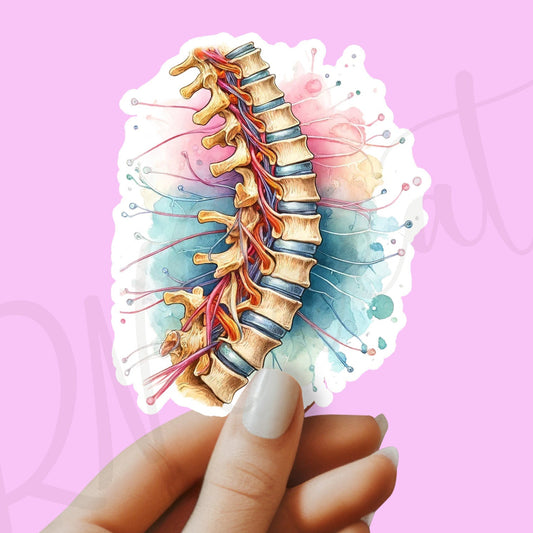 Spine Sticker - Anatomy Sticker -  Medical Sticker - Medical Gift - Decorative Sticker - Sticker